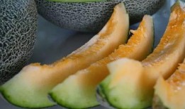 野生雨点带你吃瓜,野生雨点带你探索雨林美食之旅