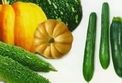 吃瓜清河,揭秘网络热点的背后故事