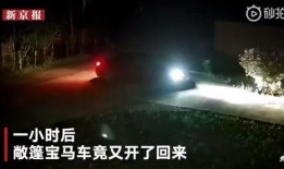 月亮吃瓜娱乐说,揭秘娱乐圈幕后故事