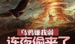 吃瓜小说全部作品,穿越时空的甜蜜瓜果盛宴