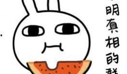 吃瓜不信瓜是谣言吗,谣言还是真相？