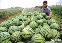 就知道吃瓜,揭秘娱乐圈背后的那些事儿