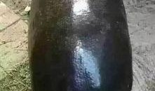 吃瓜嘴巴黑黑的,揭秘嘴巴黑黑背后的秘密