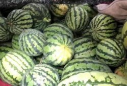 川传最新吃瓜,揭秘校园风云背后的真相