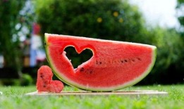 幸福吃瓜,揭秘美食背后的幸福密码