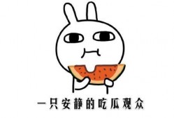 吃瓜的其他说法,揭秘“吃瓜群众”背后的网络文化现象