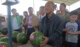 技校吃瓜群众,吃瓜群众揭秘校园生活点滴