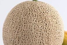 什么季节吃哈密瓜最好,哈密瓜的黄金时节