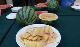 粉丝瓜带你吃瓜,粉丝瓜带你领略娱乐圈的甜蜜与苦涩