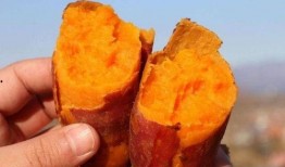 吃300克地瓜,揭秘地瓜的营养与益处