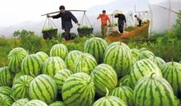 美国吃瓜网,揭秘娱乐圈幕后真相，带你领略不一样的娱乐世界