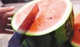 吃瓜如何去籽,瓜籽去除技巧大揭秘