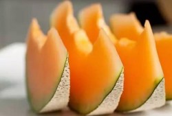 吃货大飞吃哈密瓜干,甜蜜滋味尽享舌尖盛宴