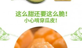吃瓜群名称推荐,网络社交新现象背后的故事与影响