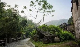 墓地吃瓜宁溪,吃瓜宁溪的神秘探险之旅