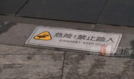 沙河喷泉吃瓜,一场吃瓜盛宴背后的故事