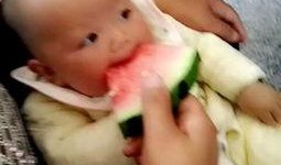 小娃吃瓜视频,萌态十足，揭秘儿童美食新风尚