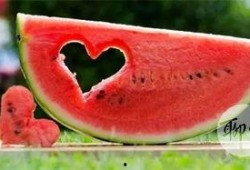 吃瓜免费吃,免费吃瓜，畅享夏日清凉