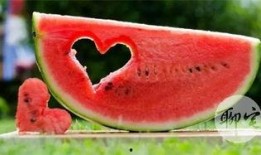 吃瓜免费吃,免费吃瓜，畅享夏日清凉