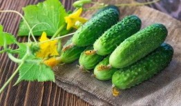 焕儿吃瓜播放,揭秘娱乐圈幕后故事