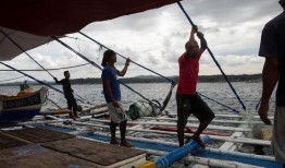 渔民吃瓜菲律宾现场,现场直击，揭秘热带风情下的渔村生活