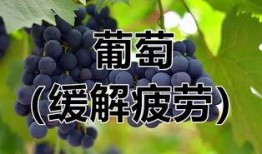 《吃瓜捉虫过小暑》