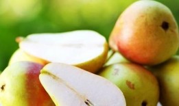 怀孕的人吃梨瓜,梨瓜助力母婴健康