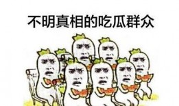 群众吃瓜的文字,群众吃瓜背后的故事与趣味