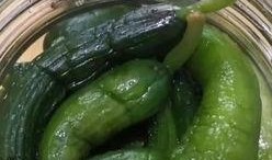 小瓜煮哪种吃爽口,夏日消暑必备