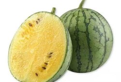 极极吃瓜,揭秘娱乐圈背后的那些事儿