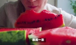 为了吃瓜而活着,揭秘“为了吃瓜而活着”的疯狂世界