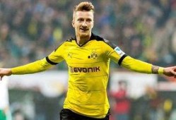 吃瓜群众罗伊斯,吃瓜群众的美食探索之旅