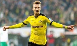 吃瓜群众罗伊斯,吃瓜群众的美食探索之旅