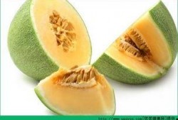 哈密瓜吃后感,一场味蕾的盛宴与心灵的小憩