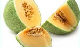 哈密瓜吃后感,一场味蕾的盛宴与心灵的小憩