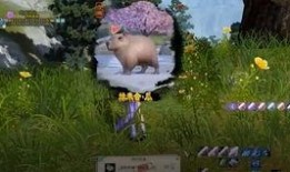 少林吃瓜系统,揭秘吃瓜系统的神秘力量