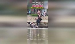 吃瓜群众违法视频,法律红线不容触碰