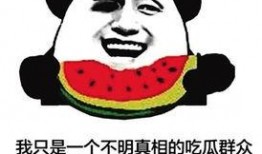 群众吃瓜的文字,群众吃瓜背后的故事与趣味