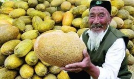 百度肺部结节吃哈密瓜,天然食疗新选择