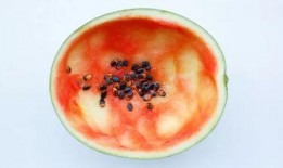 吃瓜用勺子吃的音乐,旋律悠扬——探寻“吃瓜用勺子”的独特音乐魅力