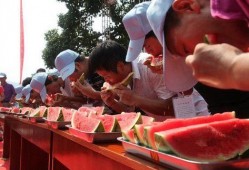 华夏吃瓜比赛,舌尖上的狂欢盛宴
