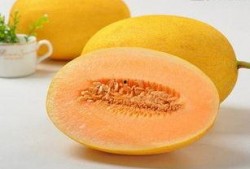 吃哈密瓜腹痛腹泻