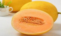 吃哈密瓜腹痛腹泻