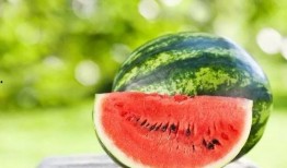 吃瓜的ZF,揭秘吃瓜群众视角下的政务风云