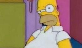 布偶打架吃瓜图片,吃瓜群众围观笑翻