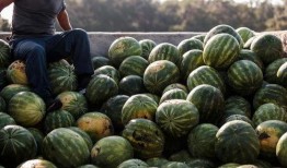 瓜哥带你吃瓜到了长沙,跟随瓜哥探寻地道风味