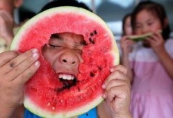 萌娃吃瓜画,萌态百出，童趣盎然瞬间