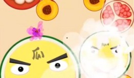 吃瓜破解,揭秘娱乐圈的真相与秘密