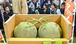 韩国民众吃瓜,吃瓜成风，娱乐圈事件引发全民狂欢