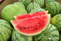 时遇吃瓜,揭秘娱乐圈的幕后故事